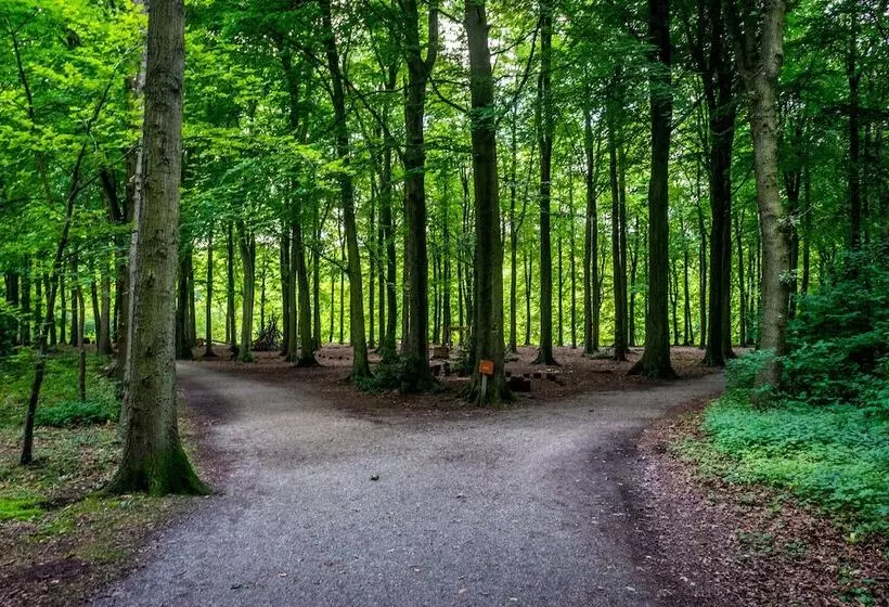 Fotos del hotel Paleis:  17