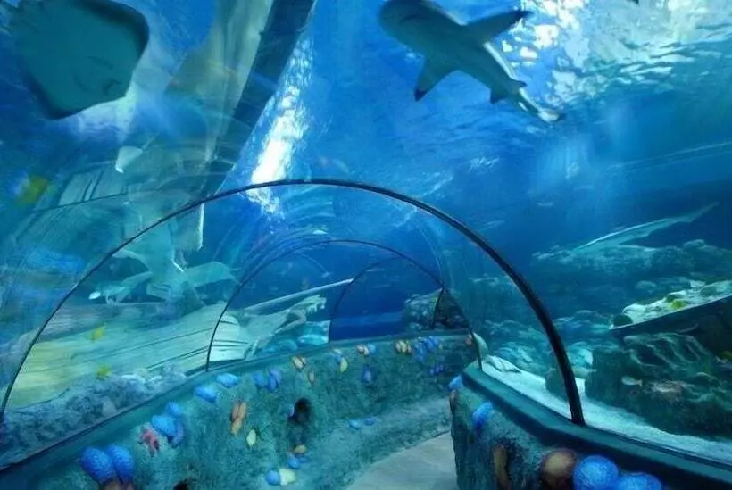 Fotos del hotel Marriott Hotel The Hague:  2