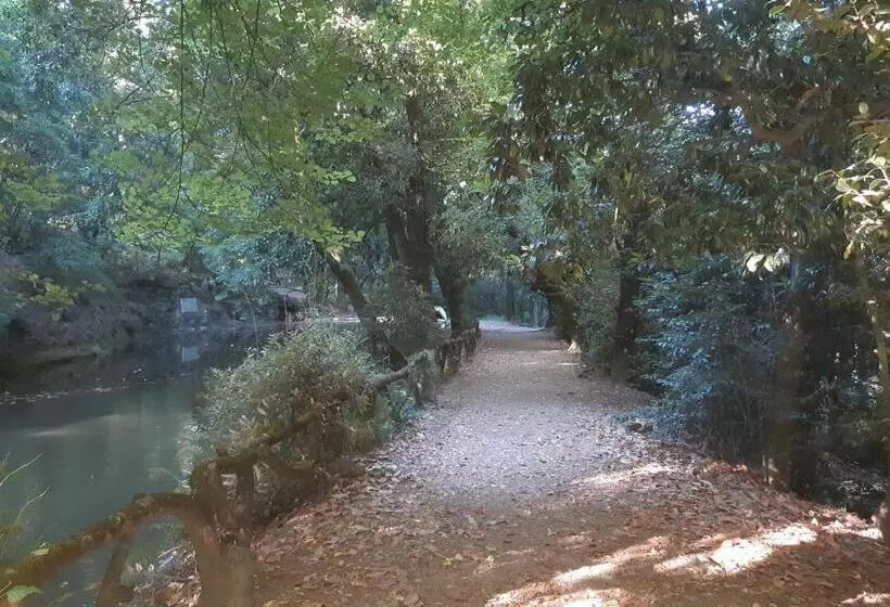 Fotos del hotel Do Parque:  3