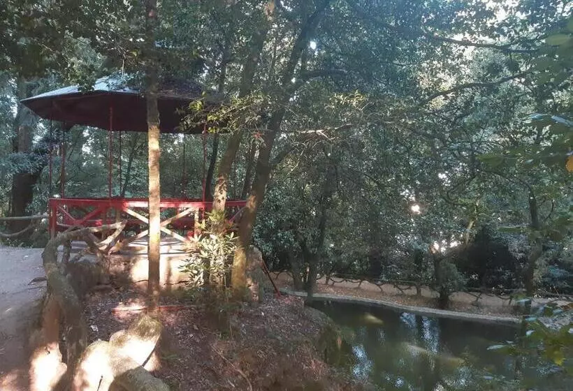 Fotos del hotel Do Parque:  13