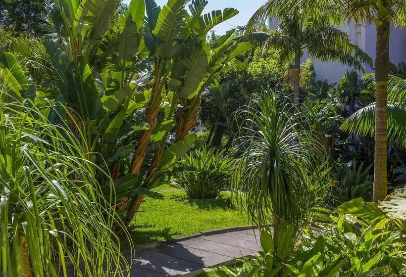 Fotos del hotel Dorisol Estrelicia:  50