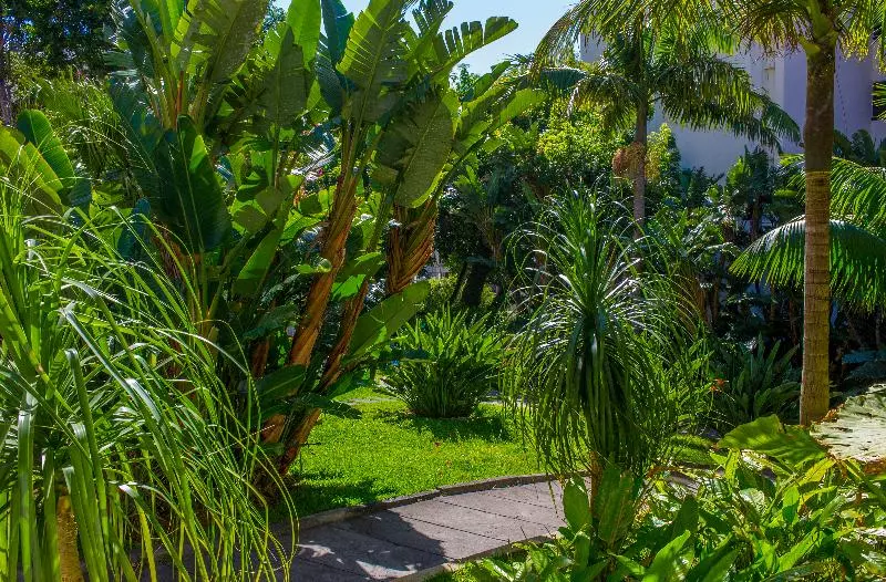 Fotos del hotel Dorisol Estrelicia:  45