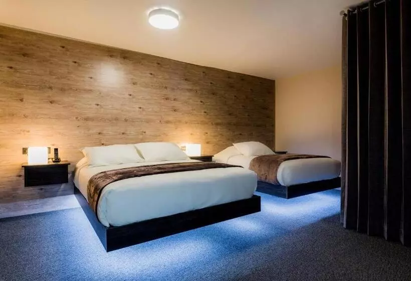 Fotos del hotel Viza:  9