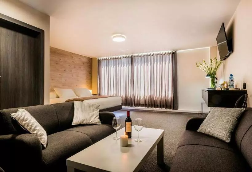 Fotos del hotel Viza:  25