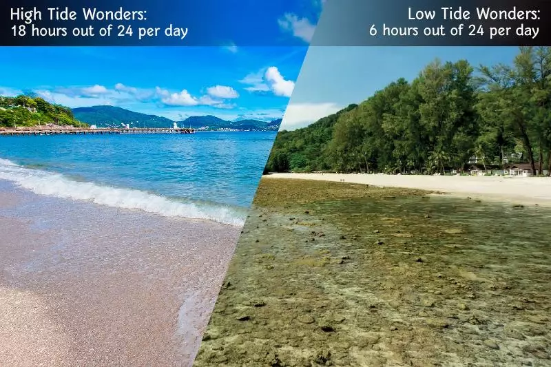 Fotos del hotel Thavorn Beach Village Resort & Spa Phuket  Sha Extra Plus:  12