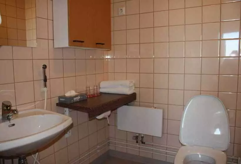 Fotos del hotel Summer Hotel Tott:  11
