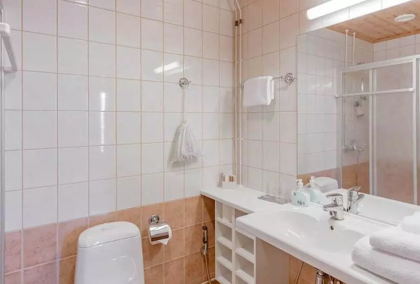 Fotos del hotel Summer Hotel Tott:  5