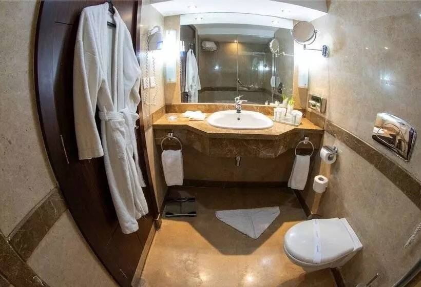 Fotos del hotel Aracan Eatabe Luxor:  19