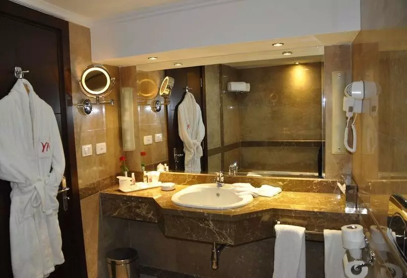 Fotos del hotel Aracan Eatabe Luxor:  17