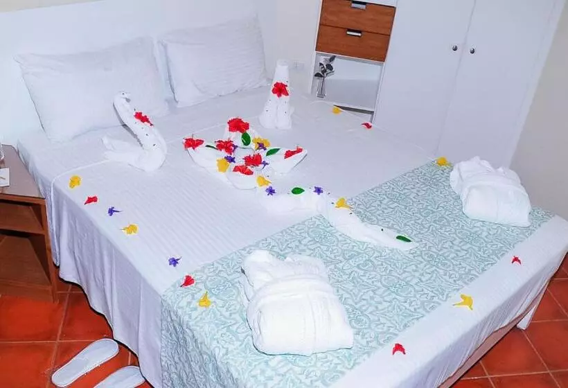 Fotos del hotel Tirana Dahab Resort:  10