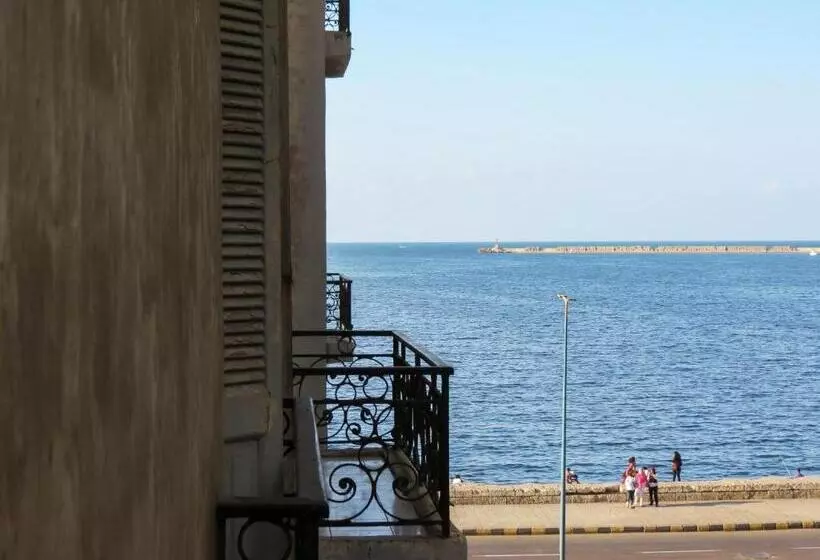 Fotos del hotel Paradise Inn Windsor Palace:  25