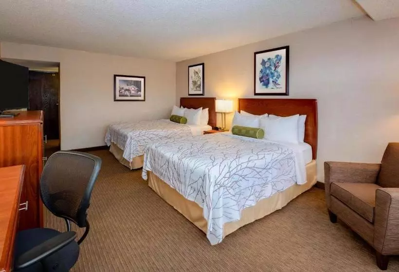 Fotos del hotel Executive Inn By The Space Needle:  10
