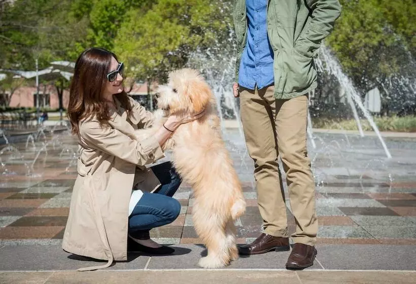 Fotos del hotel The Beeman:  9