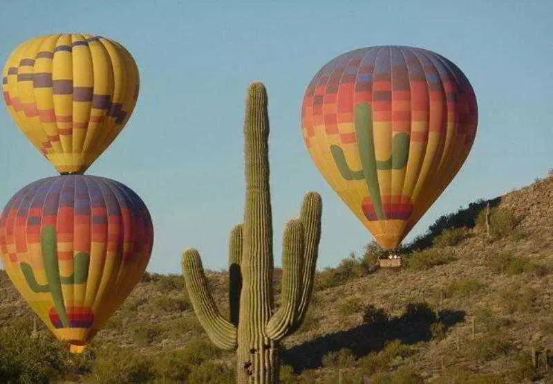 Fotos del hotel Courtyard By Marriott Phoenix North:  16