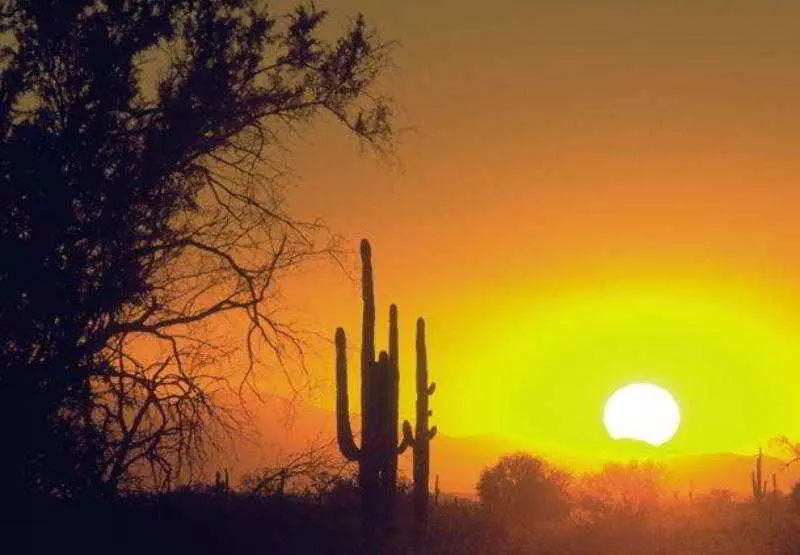 Fotos del hotel Courtyard By Marriott Phoenix North:  12