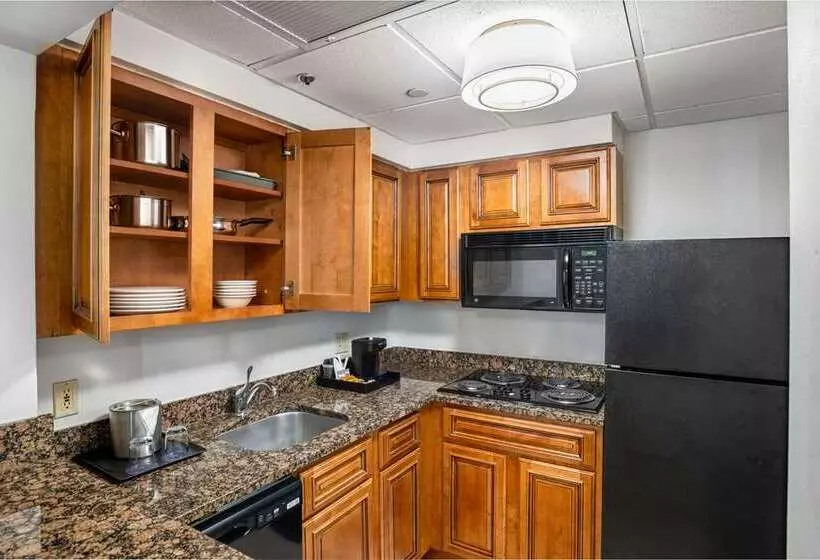 Fotos del hotel Doubletree By Hilton Houston Medical Center  & Suites:  5