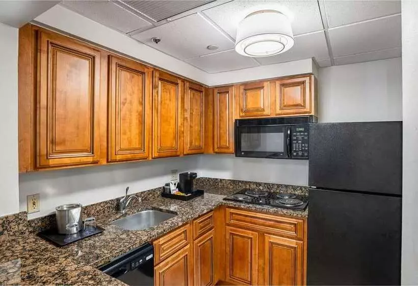 Fotos del hotel Doubletree By Hilton Houston Medical Center  & Suites:  11