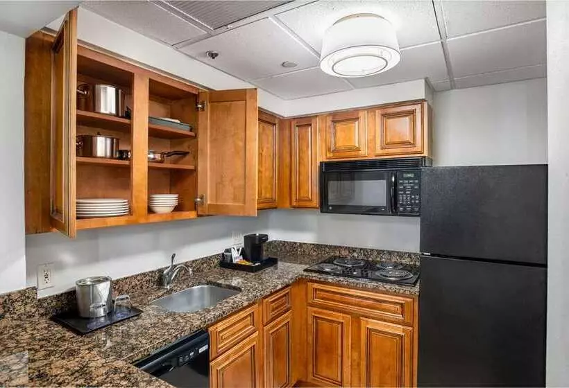 Fotos del hotel Doubletree By Hilton Houston Medical Center  & Suites:  21