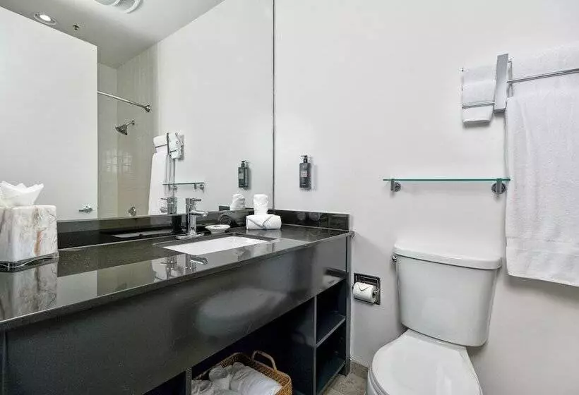 Fotos del hotel Griffon:  19