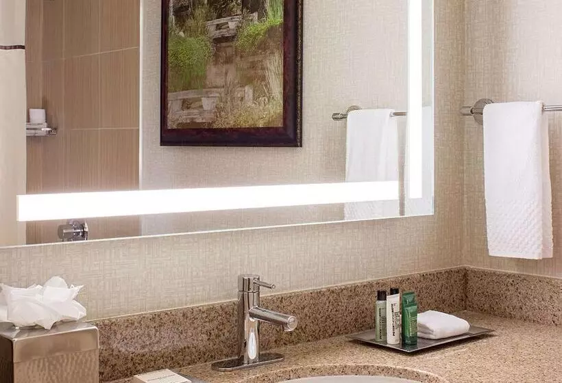 Fotos del hotel Hilton Houston Galleria Area:  12