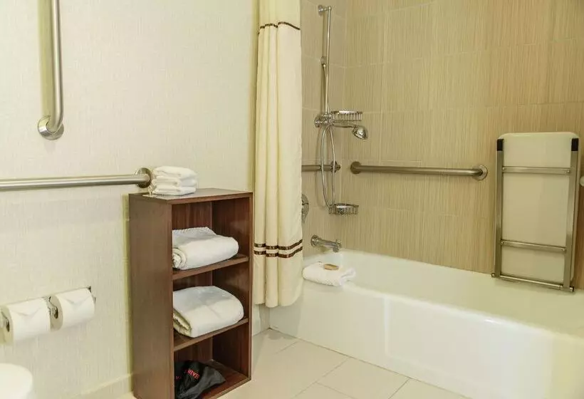 Fotos del hotel Hilton Houston Galleria Area:  6