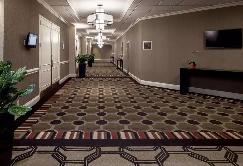 Fotos del hotel Hilton Houston Galleria Area:  25