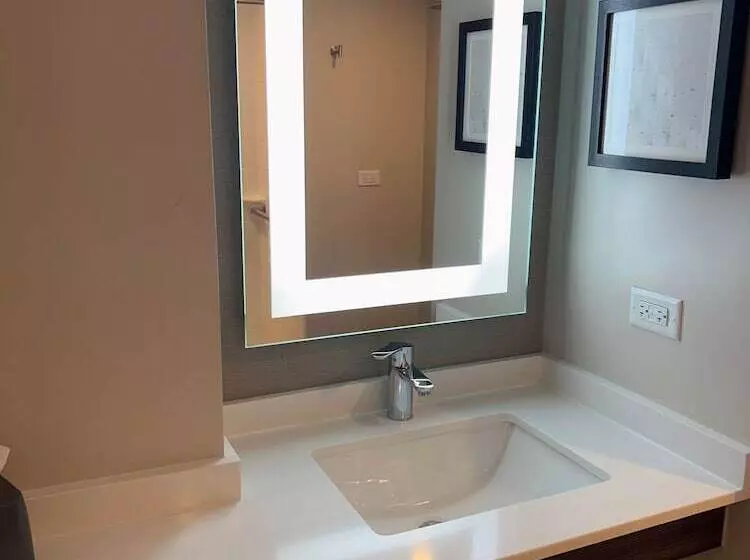 Fotos del hotel Holiday Inn Chicago Midway Airport S, An Ihg:  15