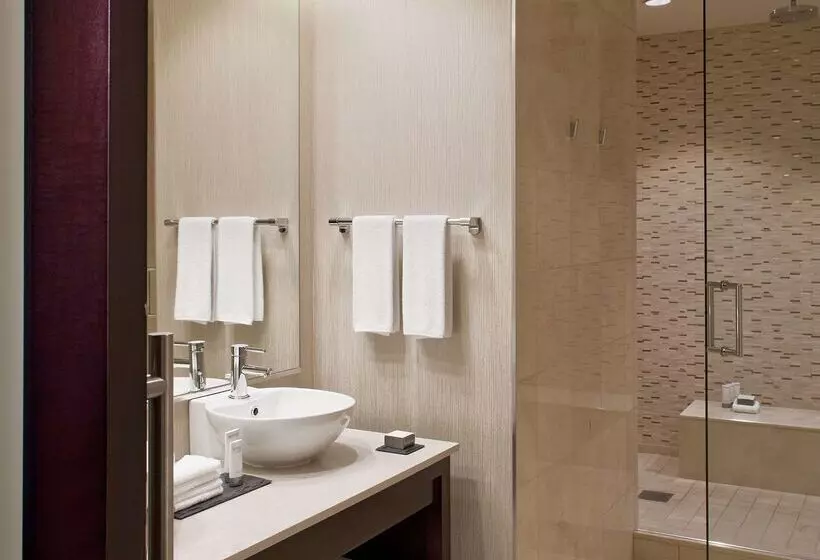 Fotos del hotel Hyatt Regency Chicago:  7