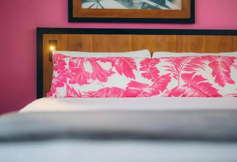 Fotos del hotel Ilima:  11