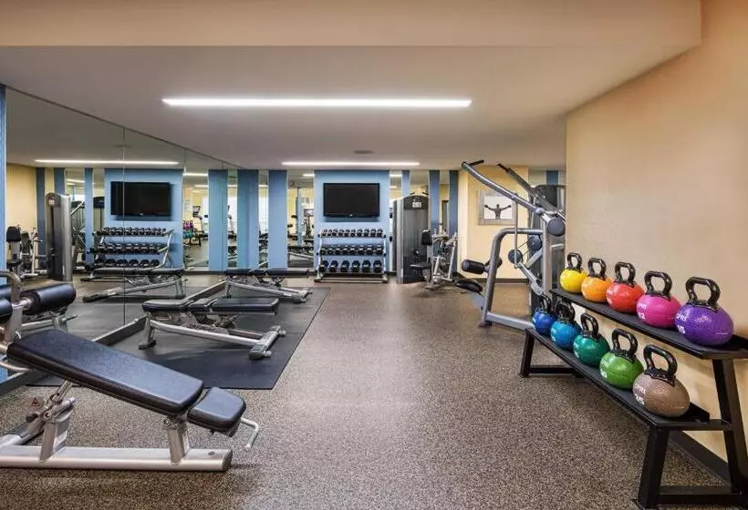 Fotos del hotel Boston Marriott Long Wharf:  4