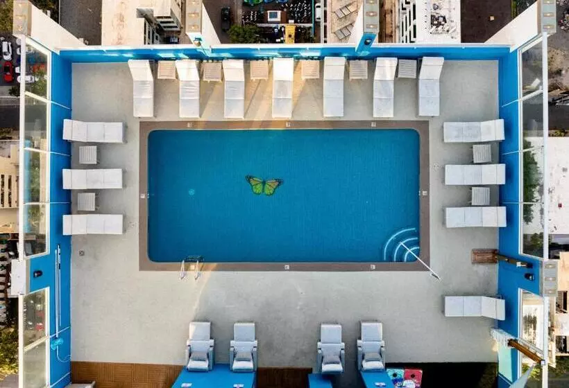 Fotos del hotel Pacific Monarch:  5