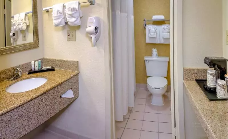 Fotos del hotel Midpointe Hotel At International Drive:  6