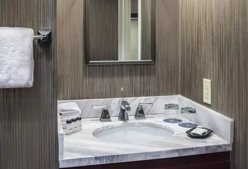 Fotos del hotel Sheraton Philadelphia University City Hotel:  6