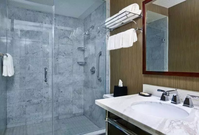 Fotos del hotel Sheraton Philadelphia University City Hotel:  12