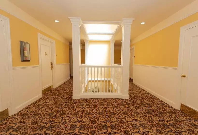 Fotos del hotel Stanyan Park Hotel:  24