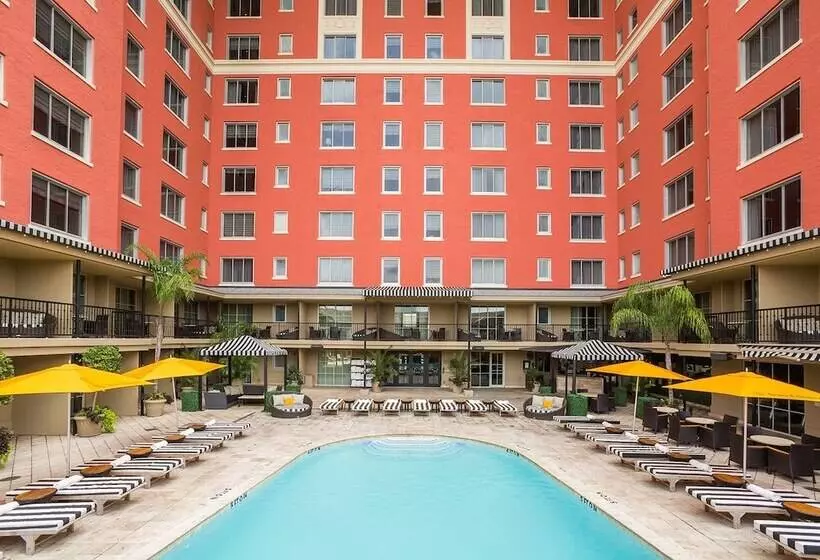 Fotos del hotel Zaza Houston Museum District:  12