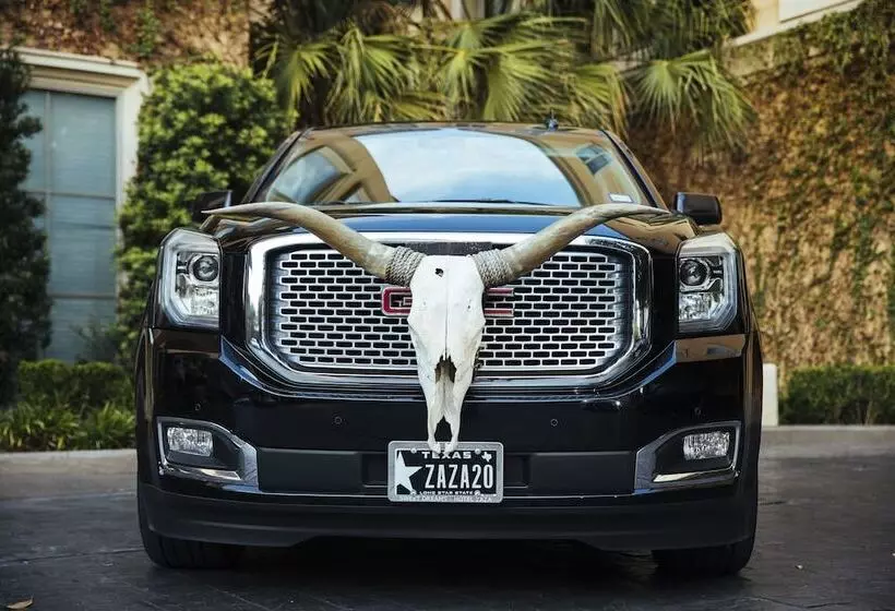 Fotos del hotel Zaza Houston Museum District:  11