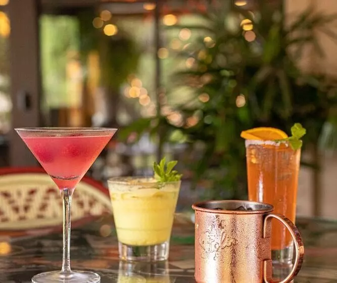 Fotos del hotel Zaza Houston Museum District:  7