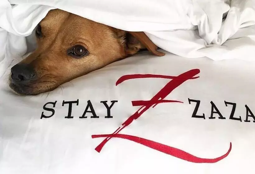 Fotos del hotel Zaza Houston Museum District:  24