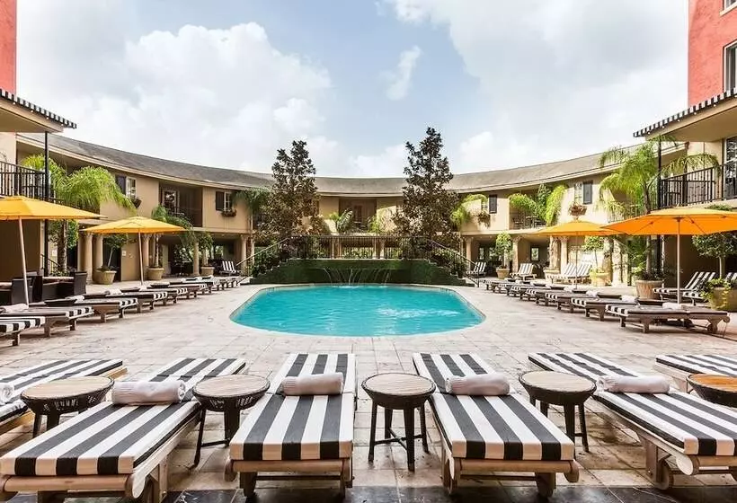 Fotos del hotel Zaza Houston Museum District:  3