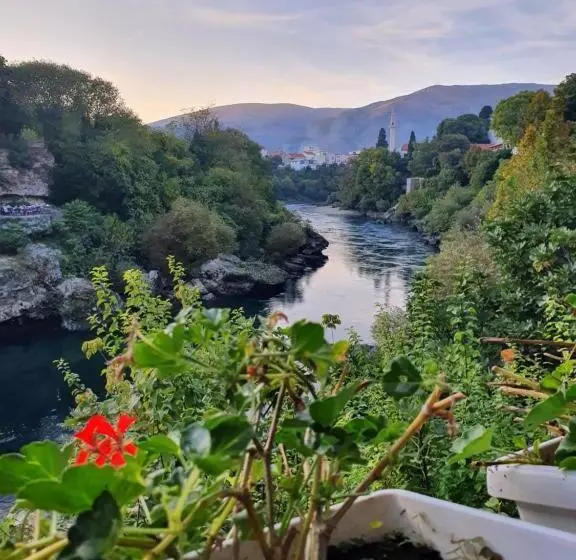 Fotos del hotel Bristol:  8