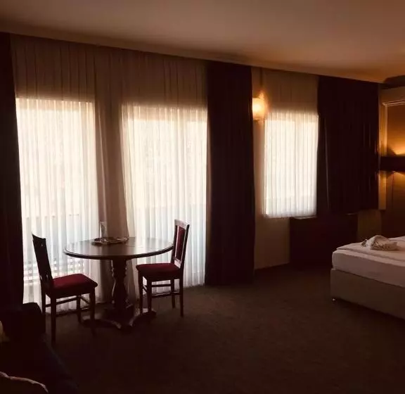 Fotos del hotel Bristol:  22