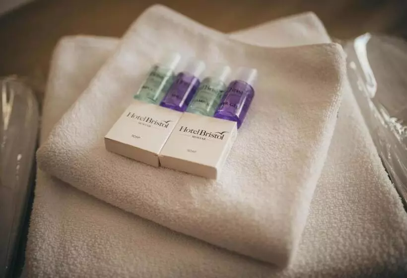 Fotos del hotel Bristol:  7