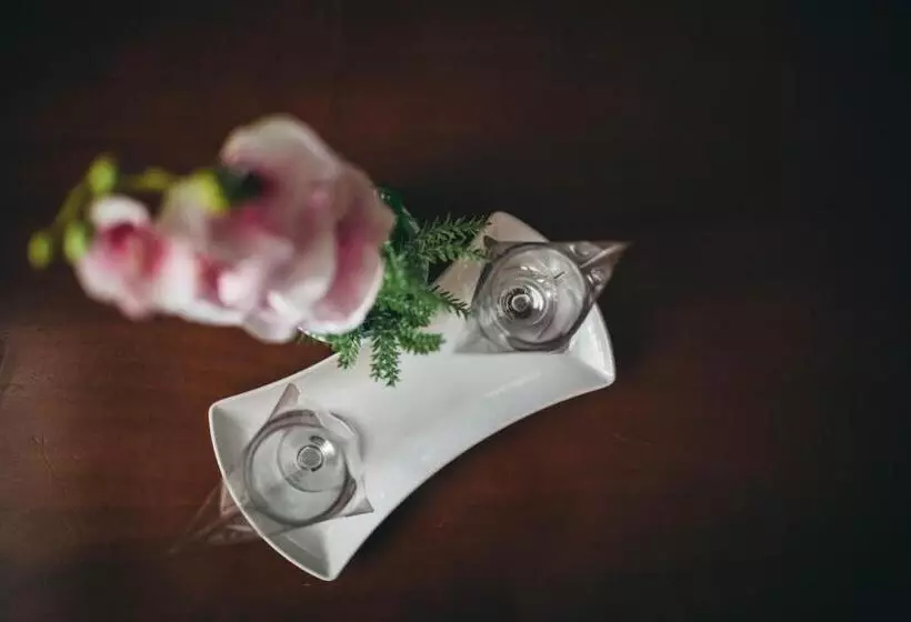 Fotos del hotel Bristol:  12