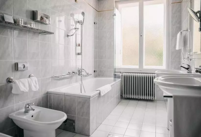 Fotos del hotel Vila Bled:  8