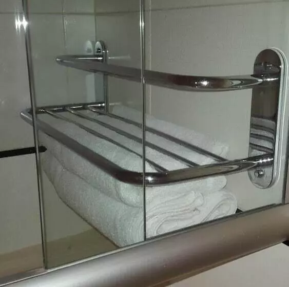 Fotos del hotel Embajador:  6