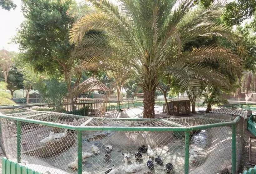 Fotos del hotel Jolie Ville  & Spa Kings Island Luxor:  4