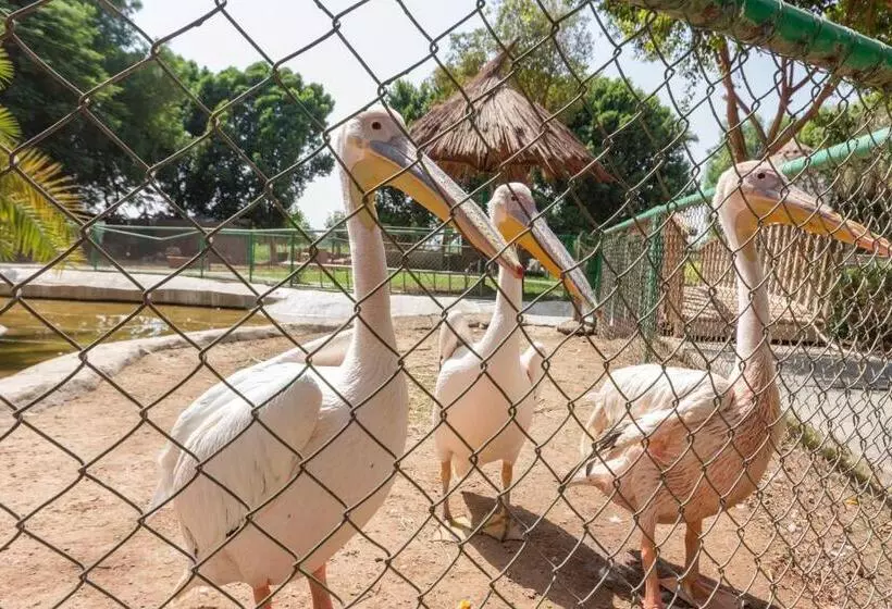 Fotos del hotel Jolie Ville  & Spa Kings Island Luxor:  24