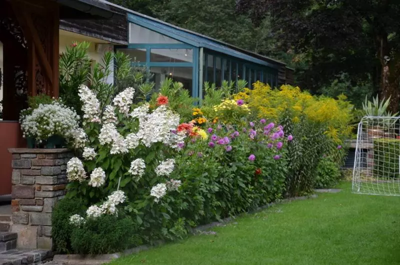 Fotos del hotel -pension Strolz:  8