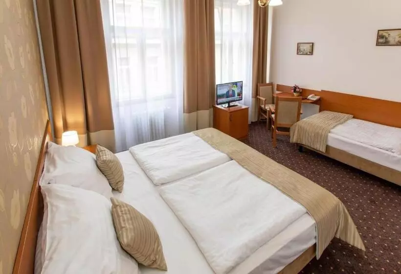 Fotos del hotel Novomestsky:  2